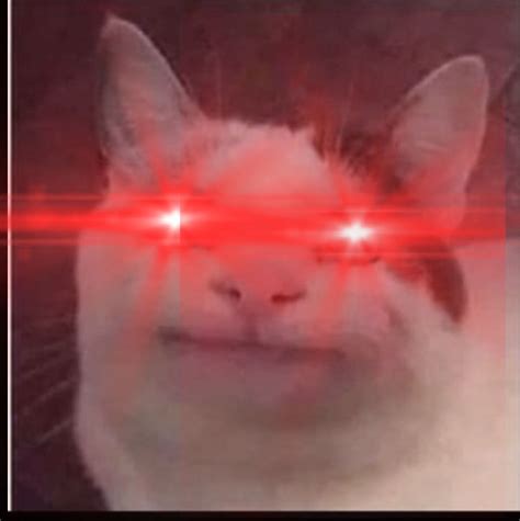 Cat with red eyes | Eyes meme, Cats, Red eyes