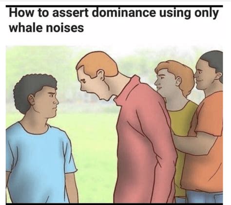 15 Funny and Weird Memes Made From wikiHow Illustrations