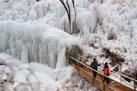 Fun & Free Daegu Travel: Winter Tourist Attractions of Daegu / Unique Winter Landscape! Opening ...