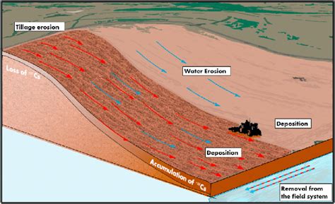 Process of tillage and water erosion and corresponding erosion and... | Download Scientific Diagram