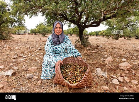 Morocco argan woman spinosa hi-res stock photography and images - Alamy