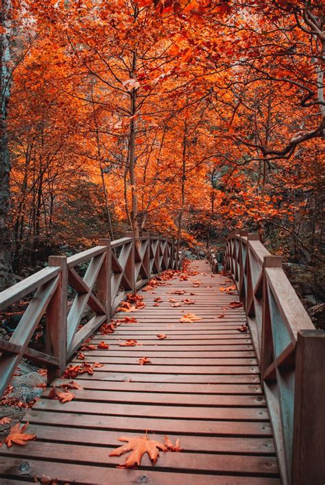 Bridges Autumn Wallpapers - Wallpaper Cave