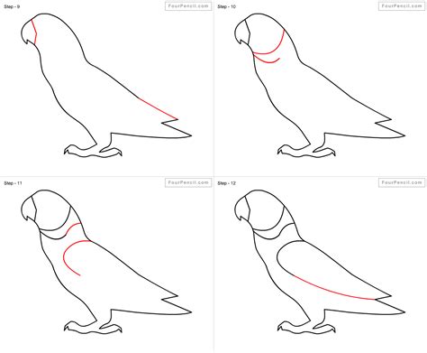 Fpencil: How to draw Parrot for kids step by step