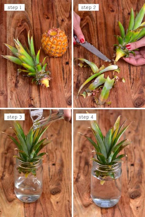 How Long Does Cut Pineapple Last: Tips for Keeping Your Pineapple Fresh ...