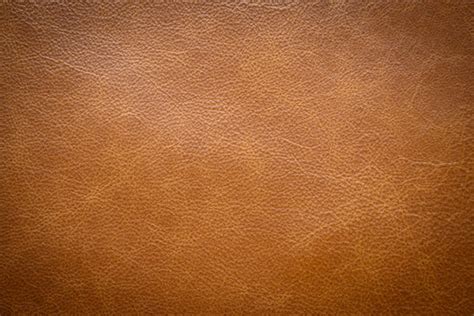 Leather Images – Browse 3,446,800 Stock Photos, Vectors, and Video | Adobe Stock