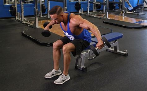 Seated Bent Over Dumbbell Reverse Fly: Video Exercise Guide & Tips