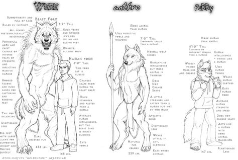 Werewolf vs Anthro wolf vs Furry differences by by Goldenwolf : r/ImaginaryWerewolves