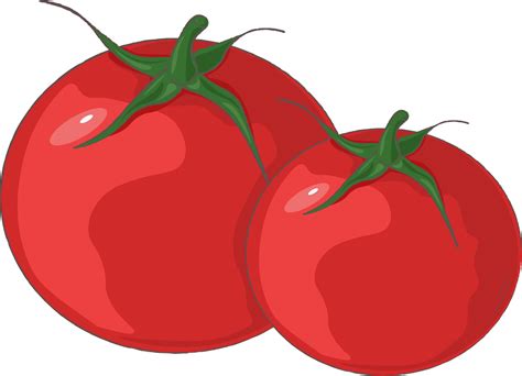 tomato cartoon character 7621433 Vector Art at Vecteezy