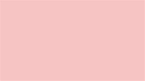 Baby Pink Solid Color Background: 1000+ Free Download Vector, Image, PNG, PSD Files