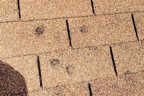 hail-damage-roof-shingles | Agape Home Services