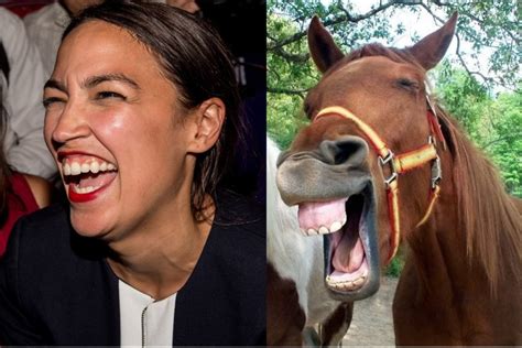 AOC horse face Alexandria Ocasio-Cortez Blank Template - Imgflip