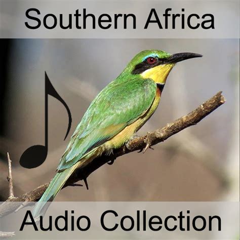 Birds of Southern Africa Sound Collection | BirdsEye Nature Apps