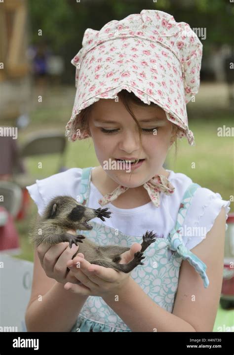 Northern Raccoon (Procyon lotor), young girl holding baby raccoon, Texas, USA Stock Photo - Alamy