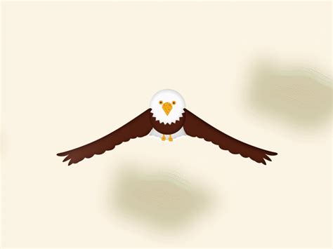 Eagle Flying by SriKaleeswarar on Dribbble