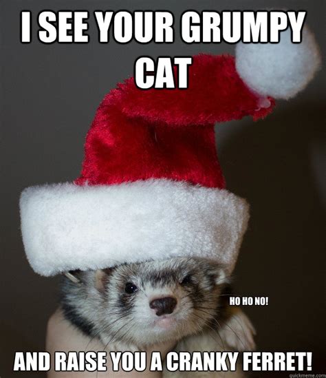 i see your grumpy cat and raise you a cranky ferret! ho ho no! - Cranky ...