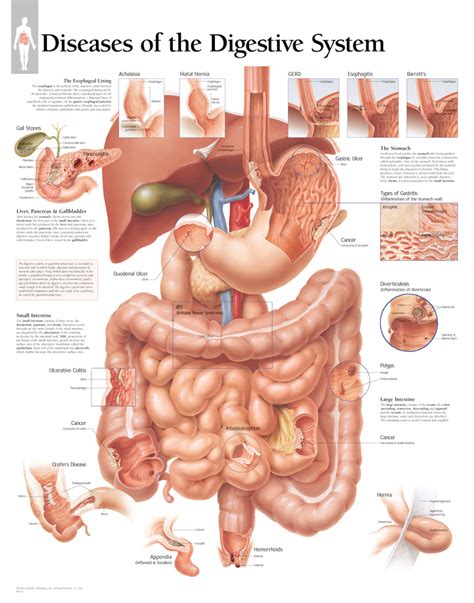 Diseases of Digestive System | Scientific Publishing