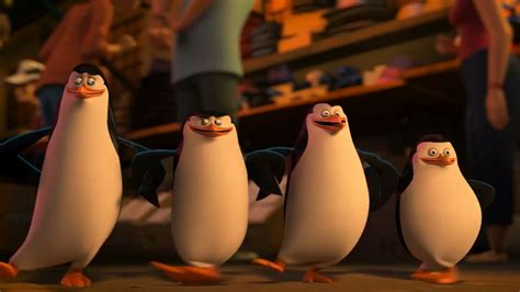 They look Funny. - Penguins of Madagascar Photo (37415485) - Fanpop