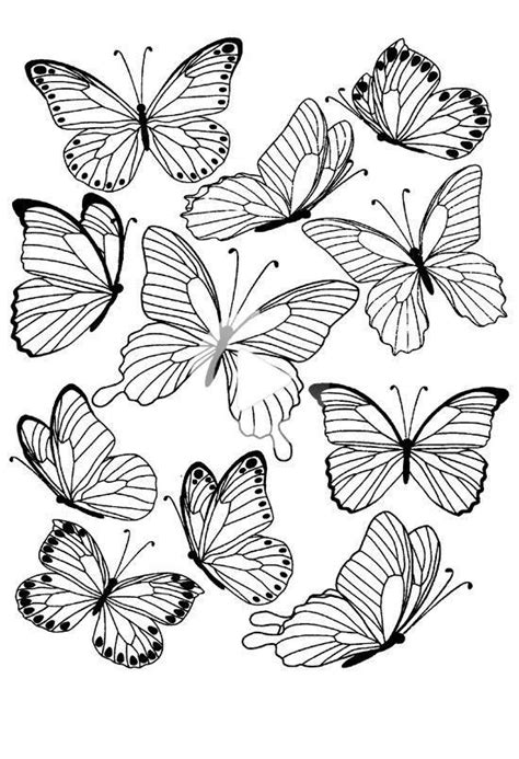 Butterflies 1 | Butterfly tattoo stencil, Butterfly drawing outline, Butterfly stencil