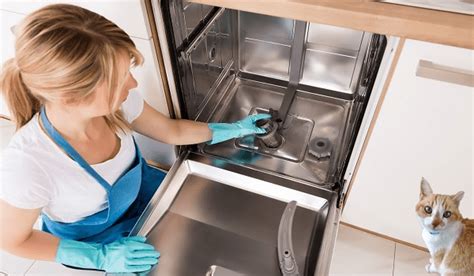 Ge Dishwasher Cleaning Cycle | Cleanestor