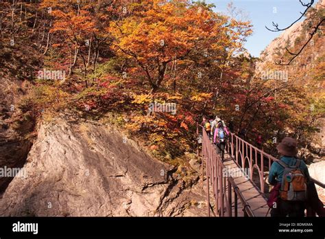 √ Seoraksan National Park Autumn - Popular Century