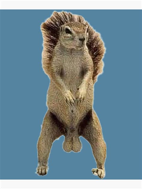 "Deez Nuts Squirrel " Poster for Sale by Max-Redshop | Redbubble