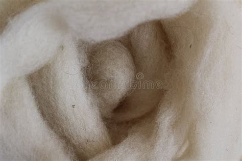 Wool stock photo. Image of knitters, soak, roving, american - 86336184