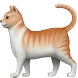 🐈 Cat Emoji Meaning with Pictures: from A to Z