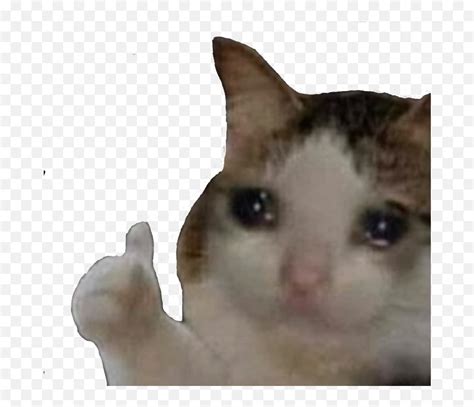 Sad cat thumbs up Blank Template - Imgflip