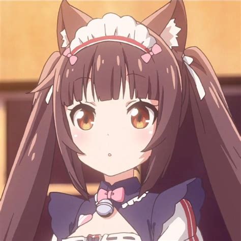 Chocola | Aesthetic anime, Anime neko, Cute anime pics