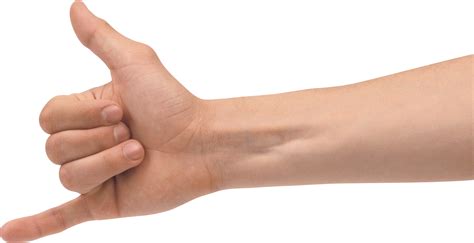 Hands PNG, hand image free