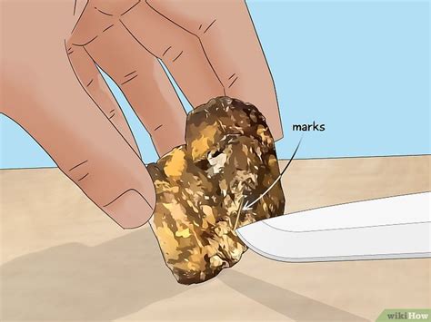 How to Identify Gold Ore: Field Tests & Characteristics