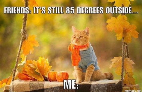 Pin by Chris P on Memes | Fall humor, Fall memes, Fall fun