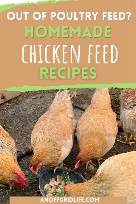 Chicken Feed Recipes | Chicken feed diy, Chickens backyard, Chicken feed