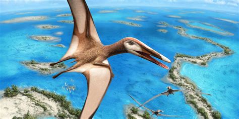 New Species of Pterosaur That Lived 95 Million Years Ago During the Age of the Dinosaurs ...