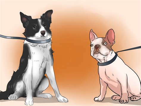 How to Train a Bully Breed Dog (with Pictures) - wikiHow