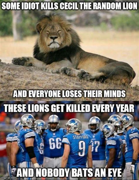 Pin by Rip Raider on Lions Suck | Dallas cowboys football team, Detroit lions, Cowboys football