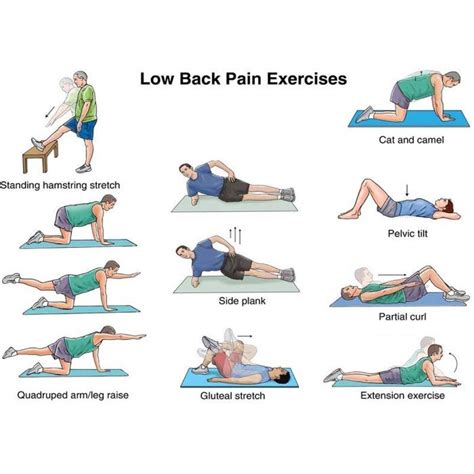 Core Exercises For Back Pain Sufferers - Exercise Poster