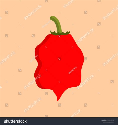 251 Ghost pepper Stock Illustrations, Images & Vectors | Shutterstock