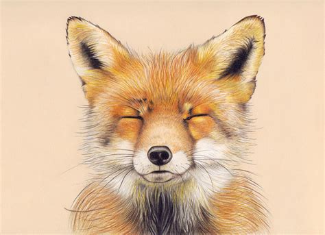 Fox - Drawing Skill - Page 2