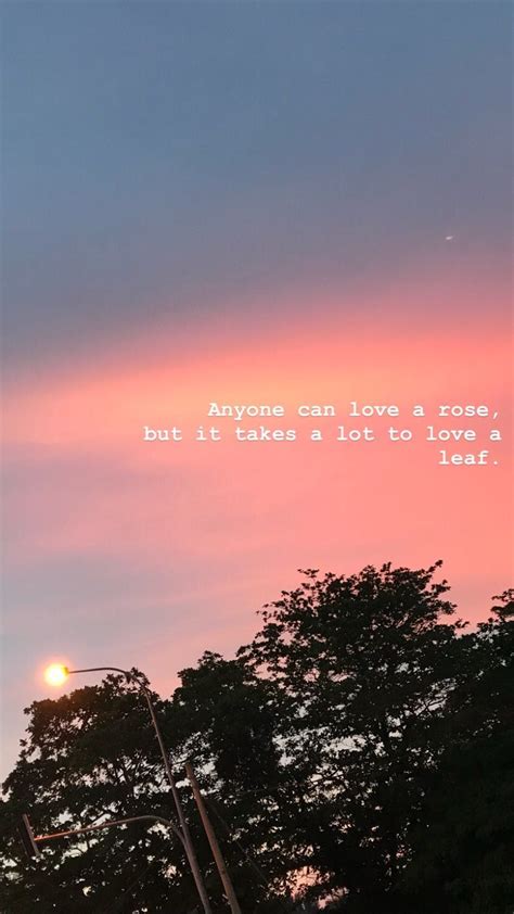 √ Pink Sky Quotes