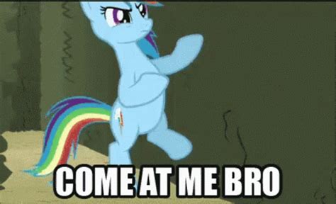 Fighting Come At Me Bro GIF - Fighting ComeAtMeBro LittlePony - Discover & Share GIFs