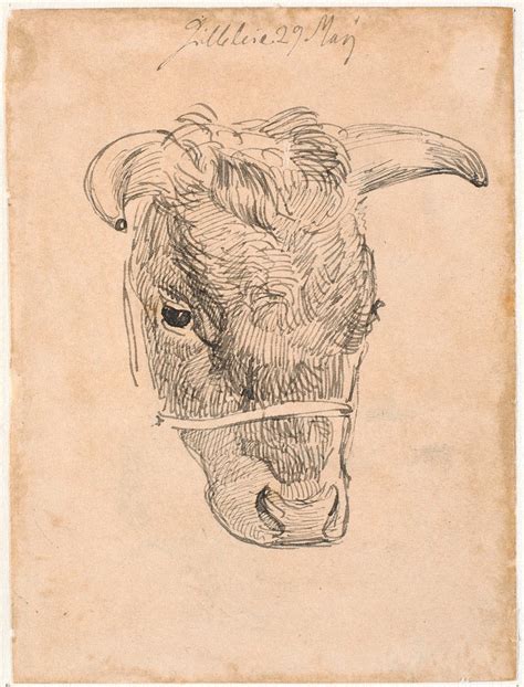 Vintage Cow Sketch Images | Free Photos, PNG Stickers, Wallpapers & Backgrounds - rawpixel