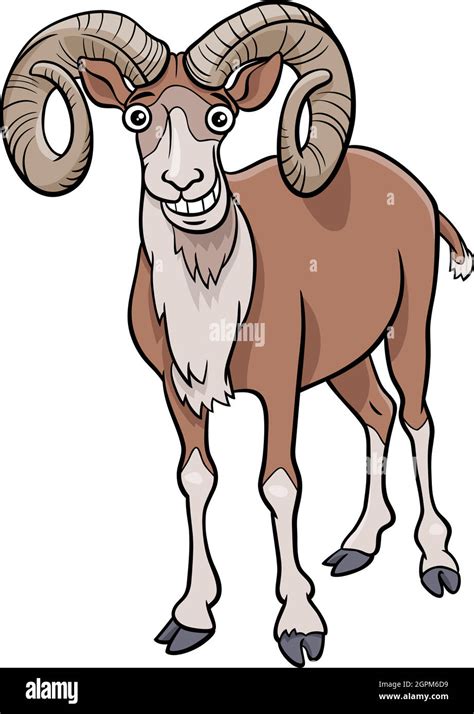 Urial sheep Stock Vector Images - Alamy