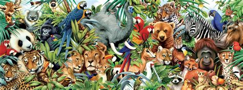 🔥 [50+] Jungle Animals Wallpapers | WallpaperSafari