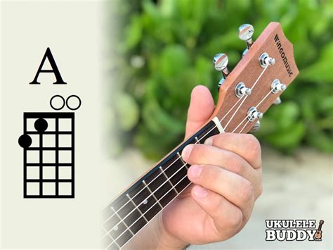 World Maps Library - Complete Resources: Finger Placement Ukulele Chords Chart For Beginners