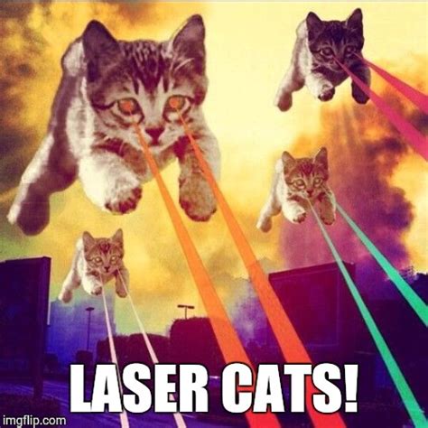 Laser Cats - Imgflip