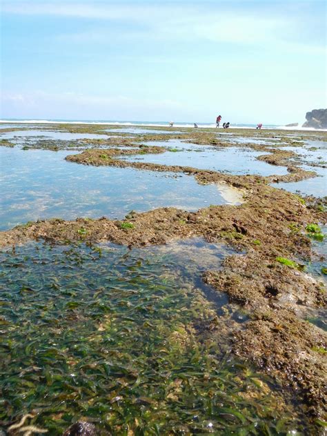 Pantai Sundak Gunungkidul Eksotisme diantara Dua Bukit