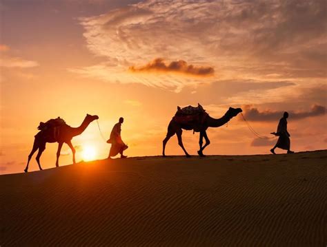 Desert in Rajasthan: Timings, Camel Safaris, Dune Bashing, and More