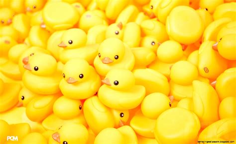 Rubber Duck Wallpaper | Amazing Wallpapers