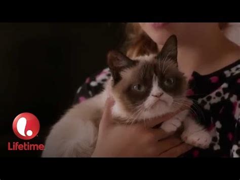 Grumpy Cat The Movie Trailer